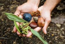 Bush tucker Bush tucker